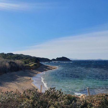 Appartement T2 - Hyeres Gare Bagian luar foto